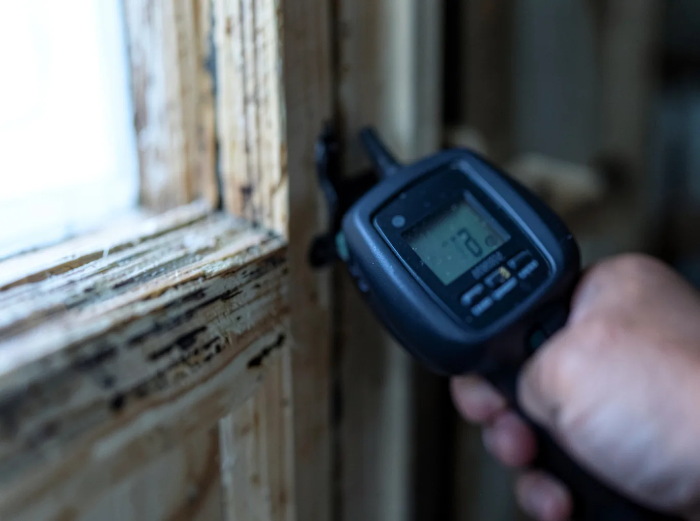 Moisture Inspection And Documentation in Bapchule, AZ